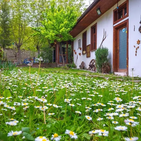 Serbetci Garden *